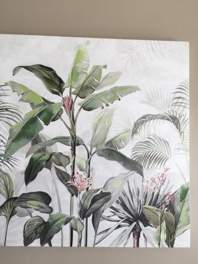 דירות Trois Bassins Le Reve Tropical 974 מראה חיצוני תמונה